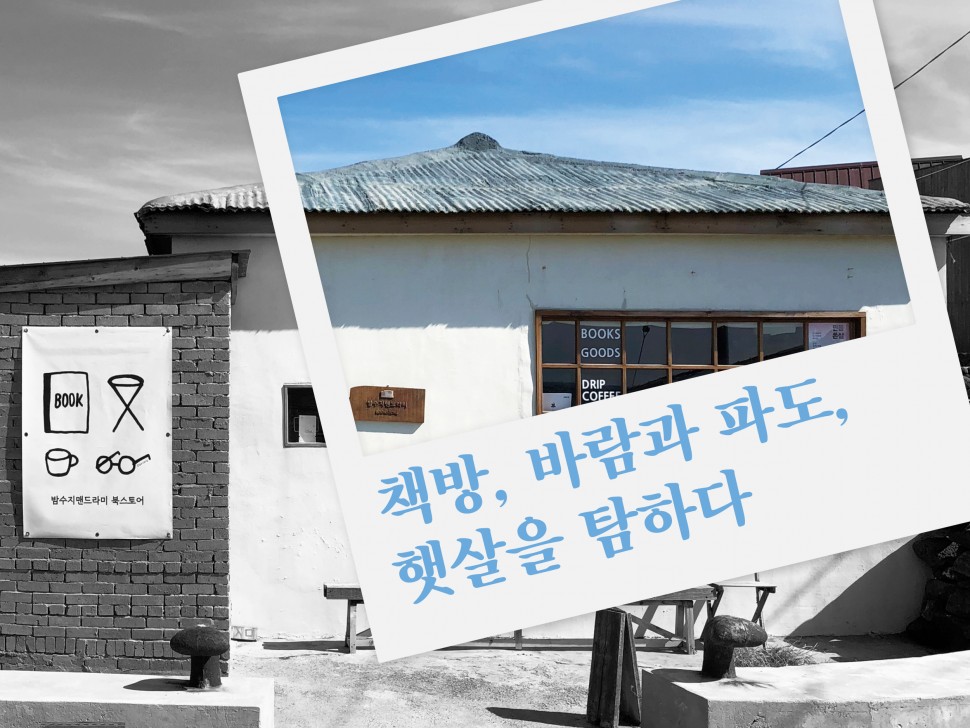 [11월 139호] 책방, 바람과 파도, 햇살을 탐하다