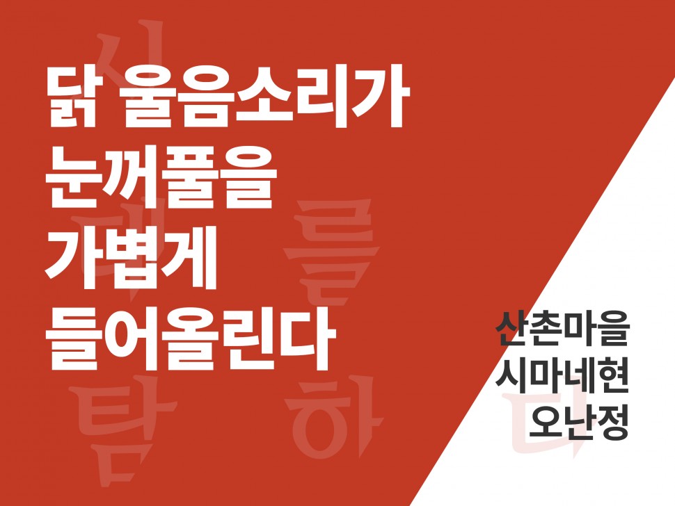 [1월 141호] 닭 울음소리가 눈꺼풀을 가볍게 들어올린다