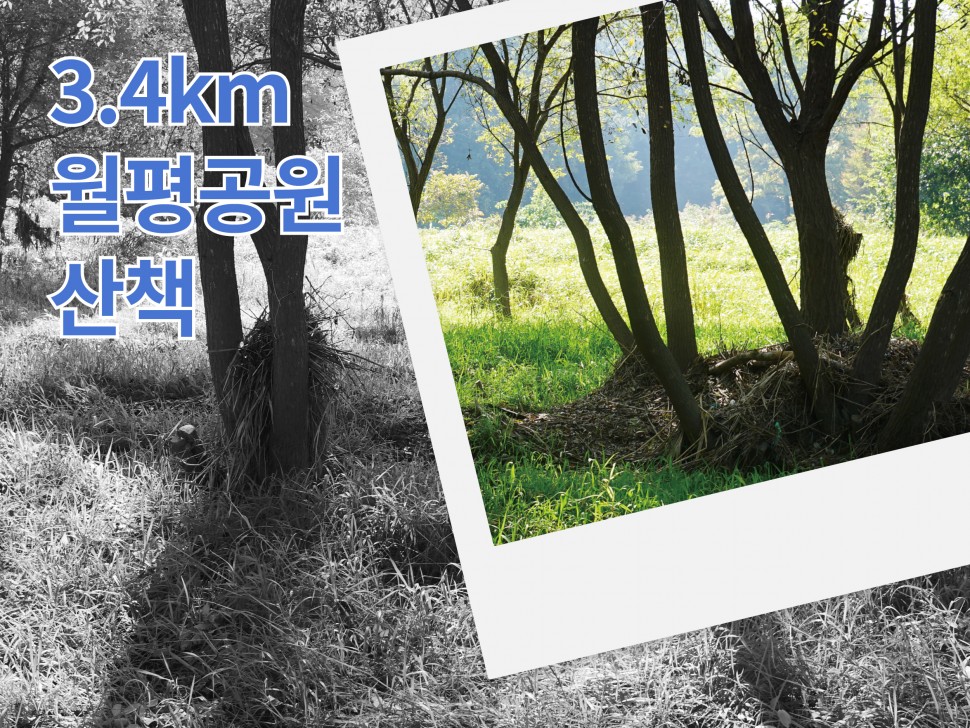 [11월 139호] 3.4km 월평공원 산책