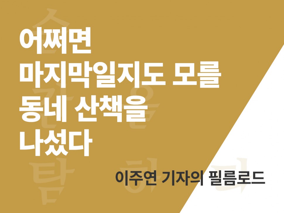 [1월 141호] 어쩌면 마지막일지도 모를 동네 산책을 나섰다